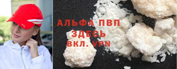 ECSTASY Костерёво