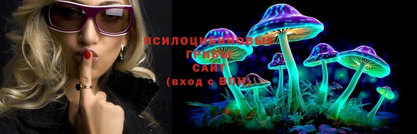 ECSTASY Костерёво