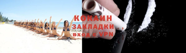 мдпв Краснослободск