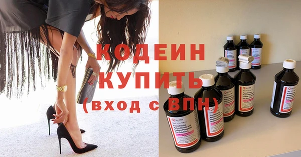 прущие грибы Кодинск