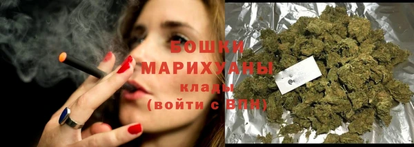 мдпв Краснослободск
