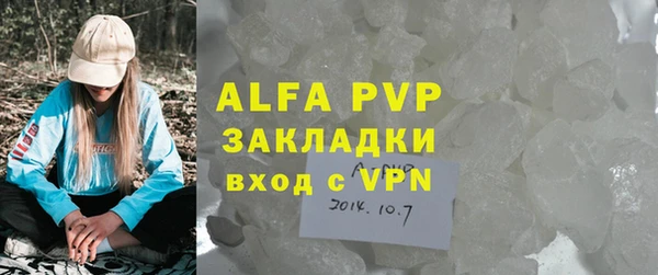 мдпв Краснослободск
